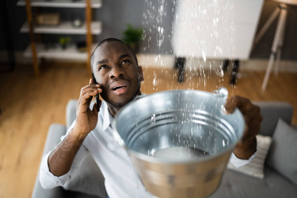 Best Basement water damage restoration  in Shepherdsville, KY