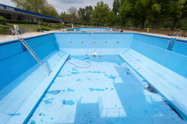 Best Mold removal after water damage  in Shepherdsville, KY