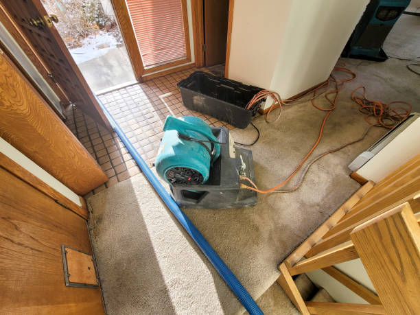  Shepherdsville, KY Water damage restoration Pros