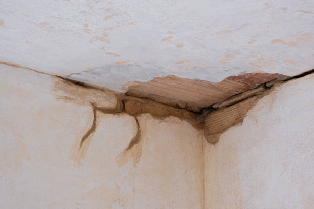 Best Water damage restoration near me  in Shepherdsville, KY