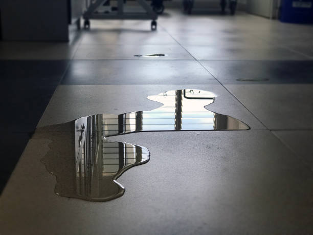 Best 24/7 water damage repair  in Shepherdsville, KY