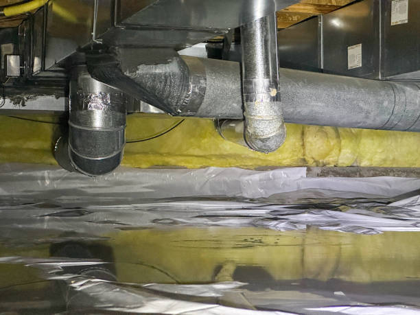 Best Water damage cleanup near me  in Shepherdsville, KY
